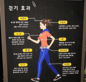 걷기 효과가 사람 신체와 부위별로 효과를 보기 좋게 보여줌