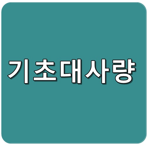 기초대사량 텍스트