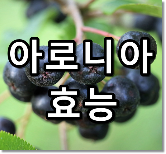 아로니아 사진 배경에 아로니아 효능 텍스트 썸네일 만든 이미지