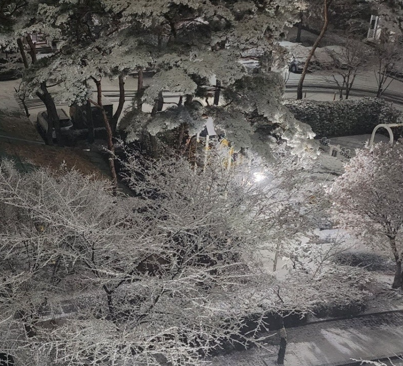 눈