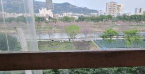 풍경